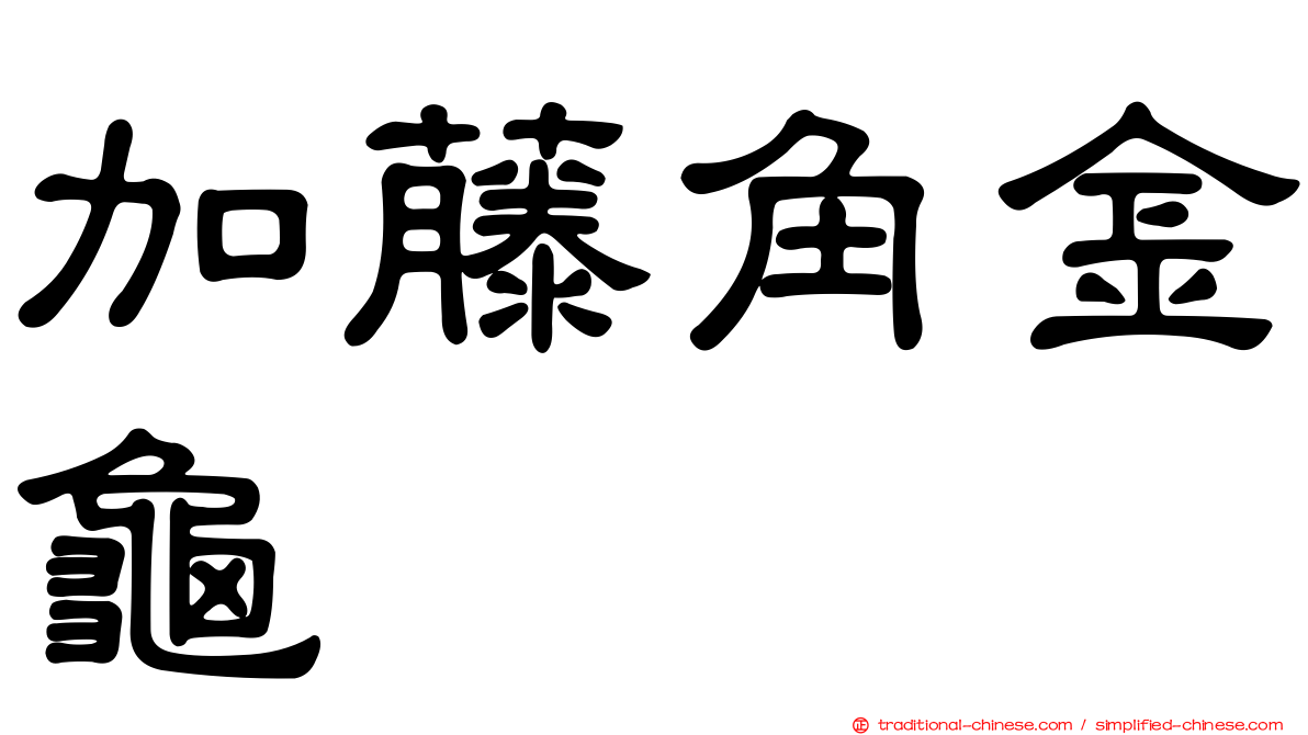 加藤角金龜