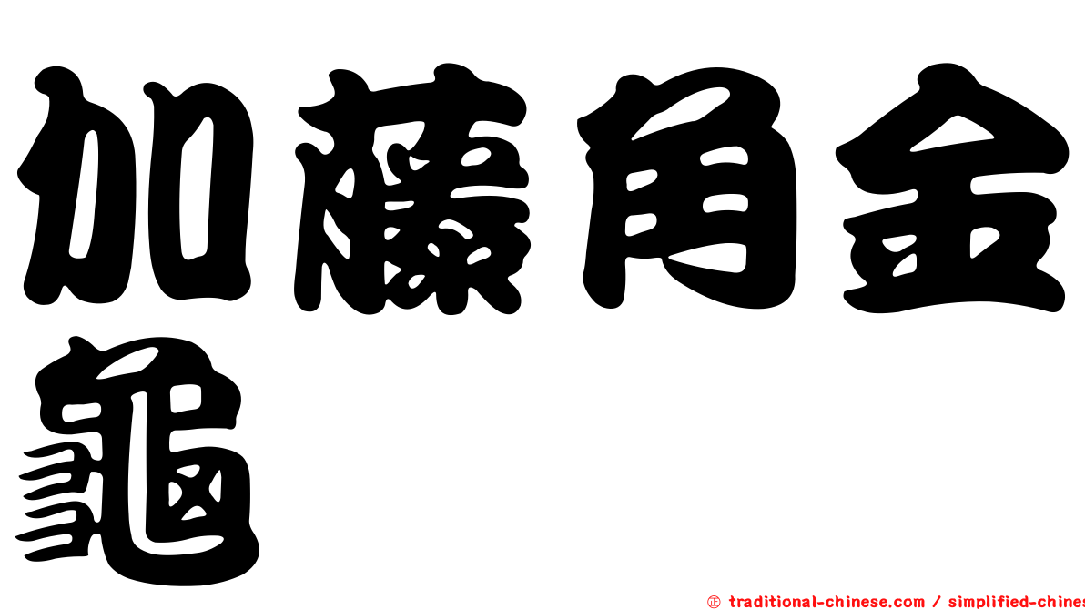 加藤角金龜