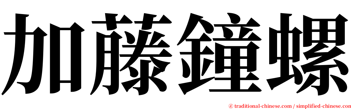 加藤鐘螺 serif font