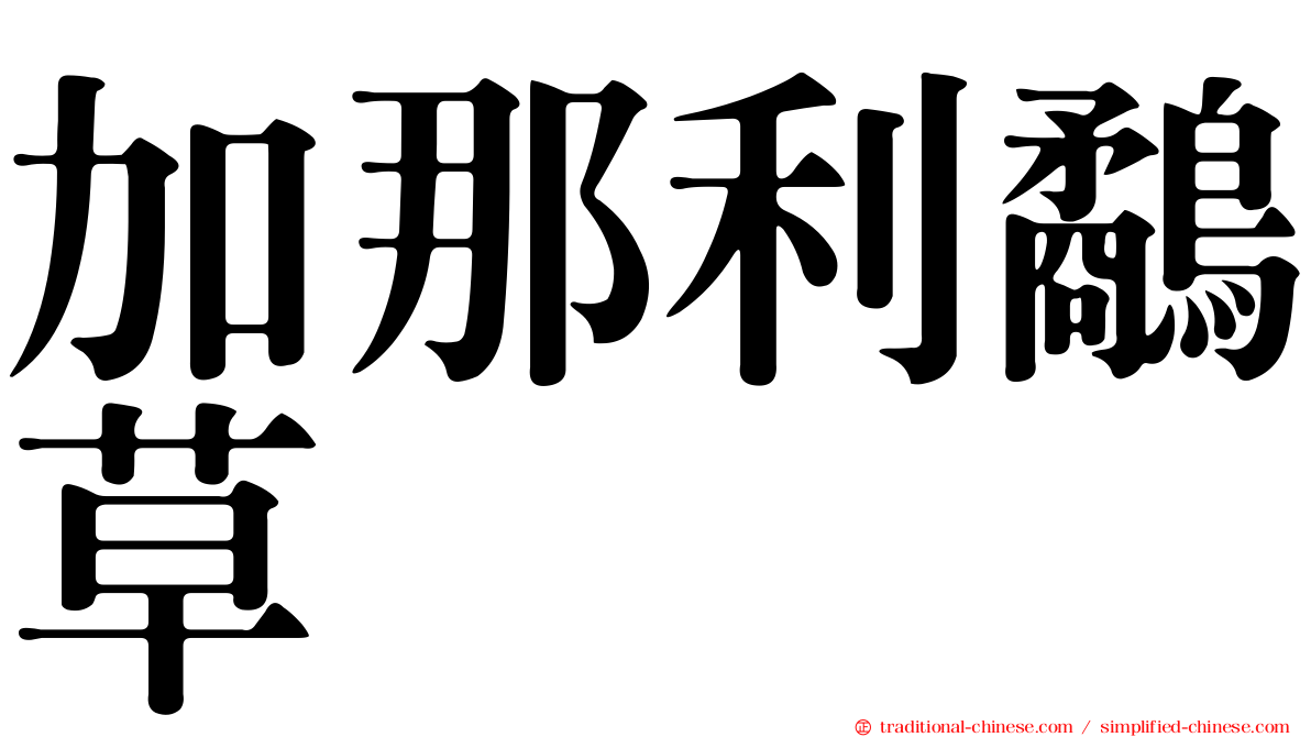 加那利鷸草