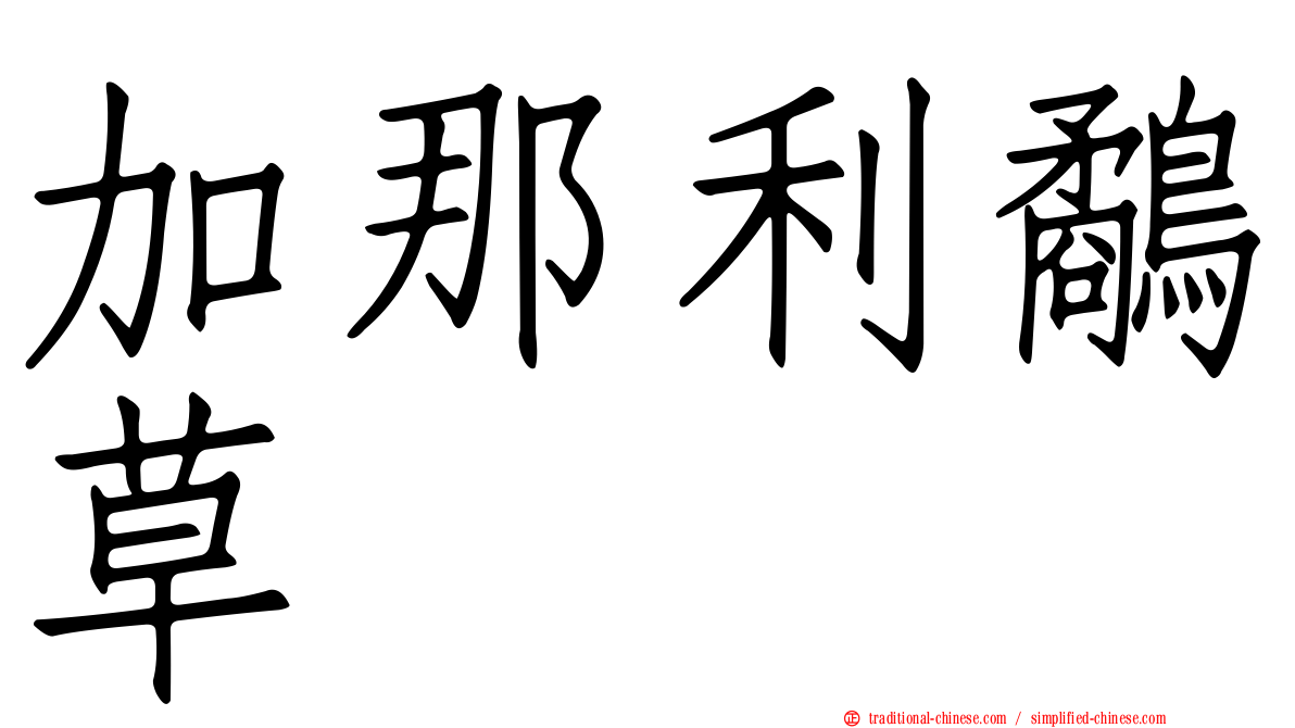 加那利鷸草