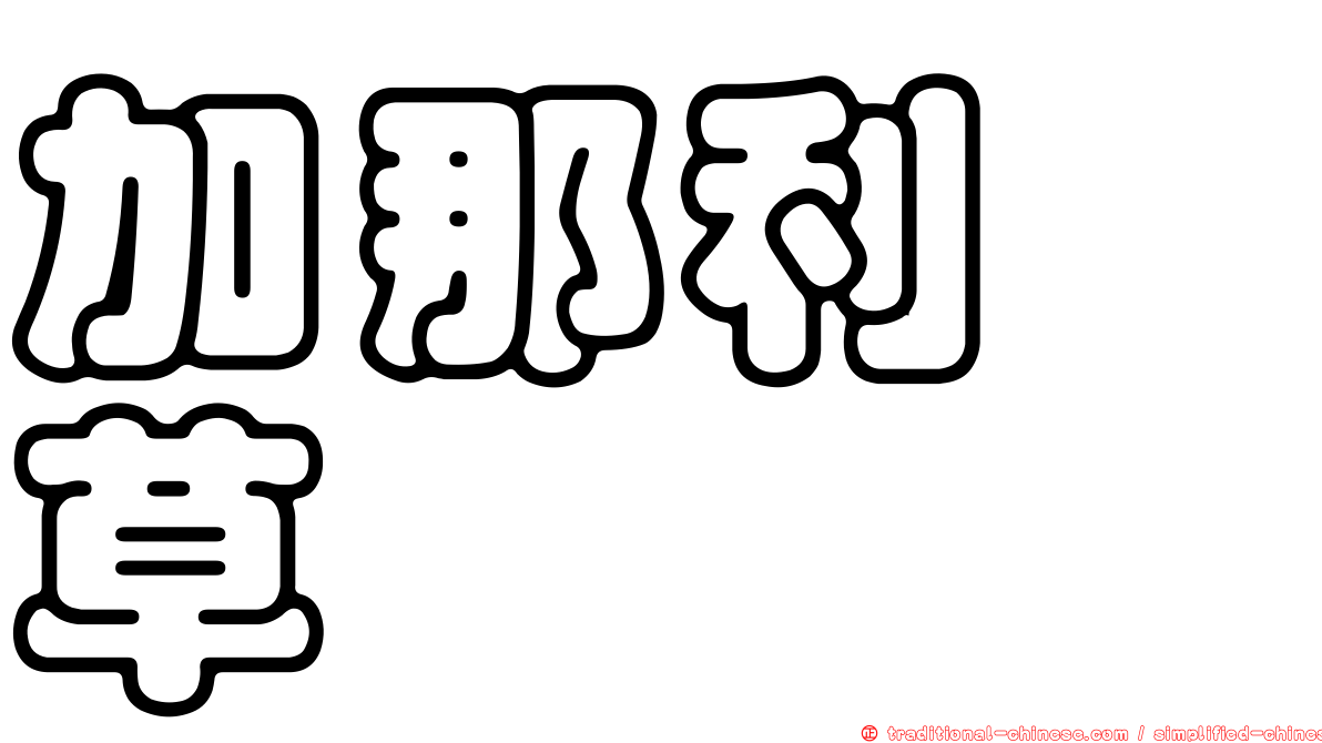 加那利鷸草
