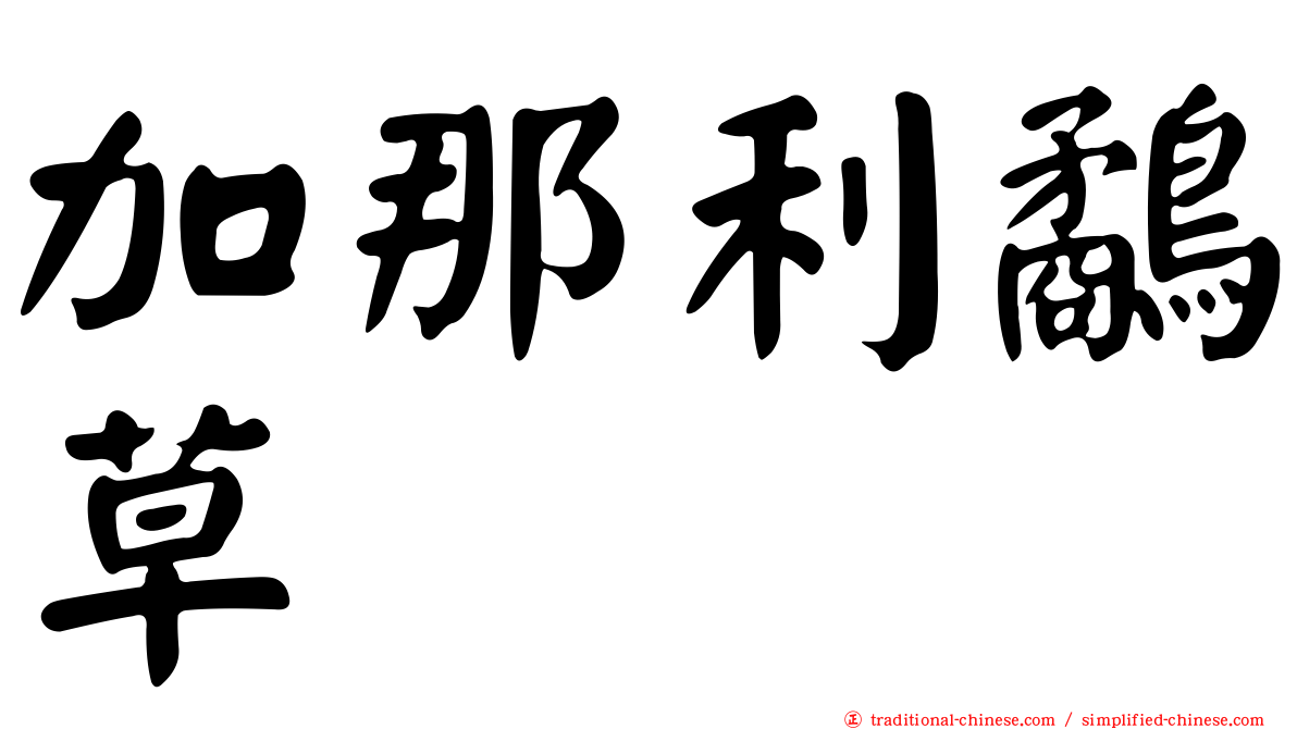 加那利鷸草