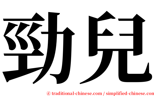 勁兒 serif font
