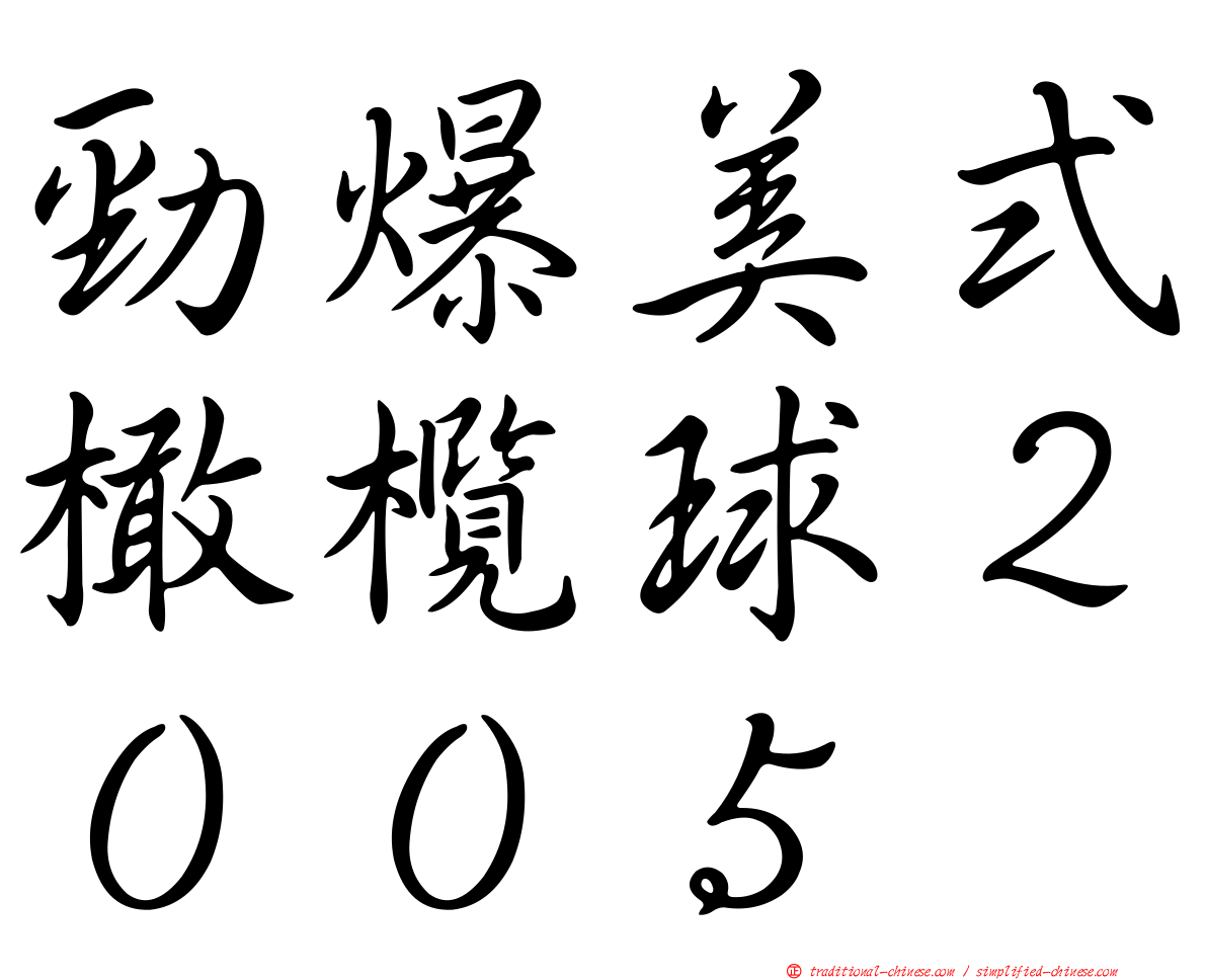 勁爆美式橄欖球２００５