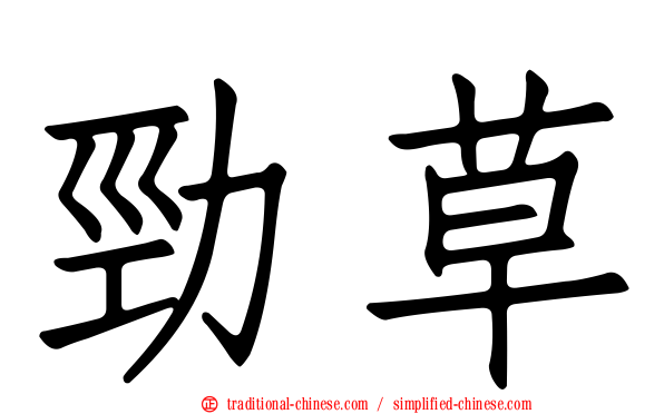 勁草