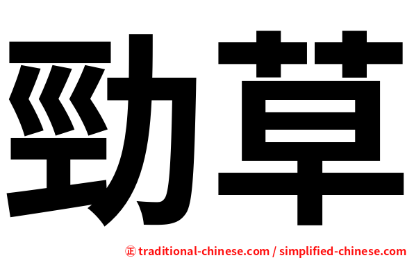 勁草