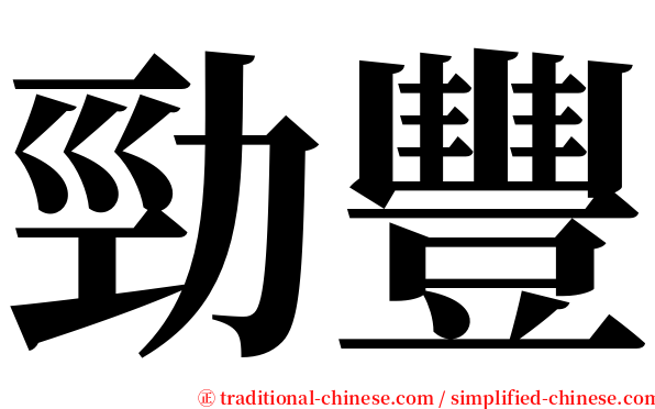 勁豐 serif font