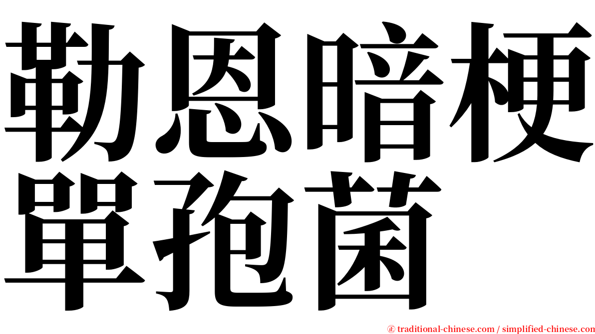 勒恩暗梗單孢菌 serif font