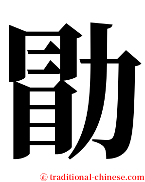 勖 serif font
