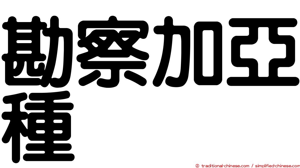 勘察加亞種