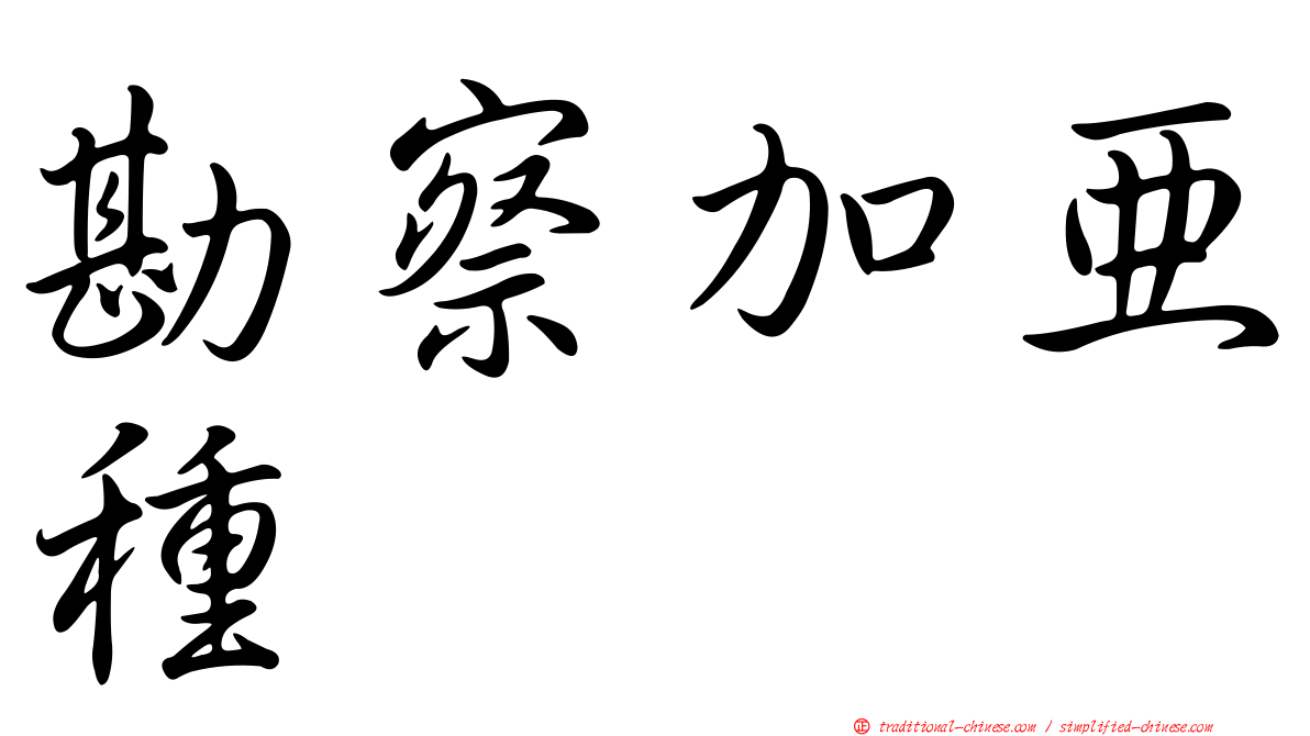 勘察加亞種