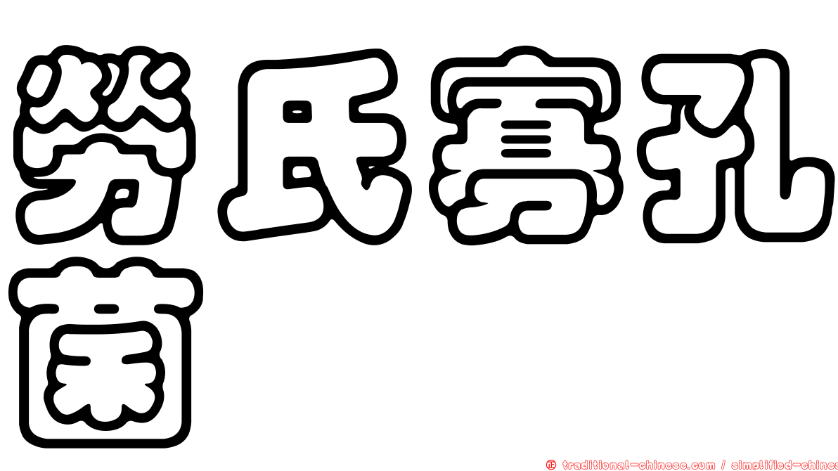勞氏寡孔菌