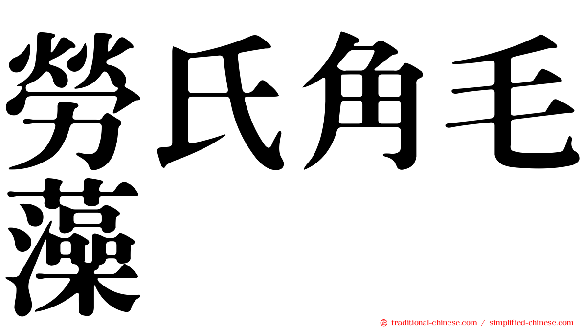 勞氏角毛藻