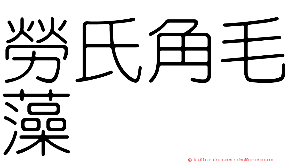 勞氏角毛藻