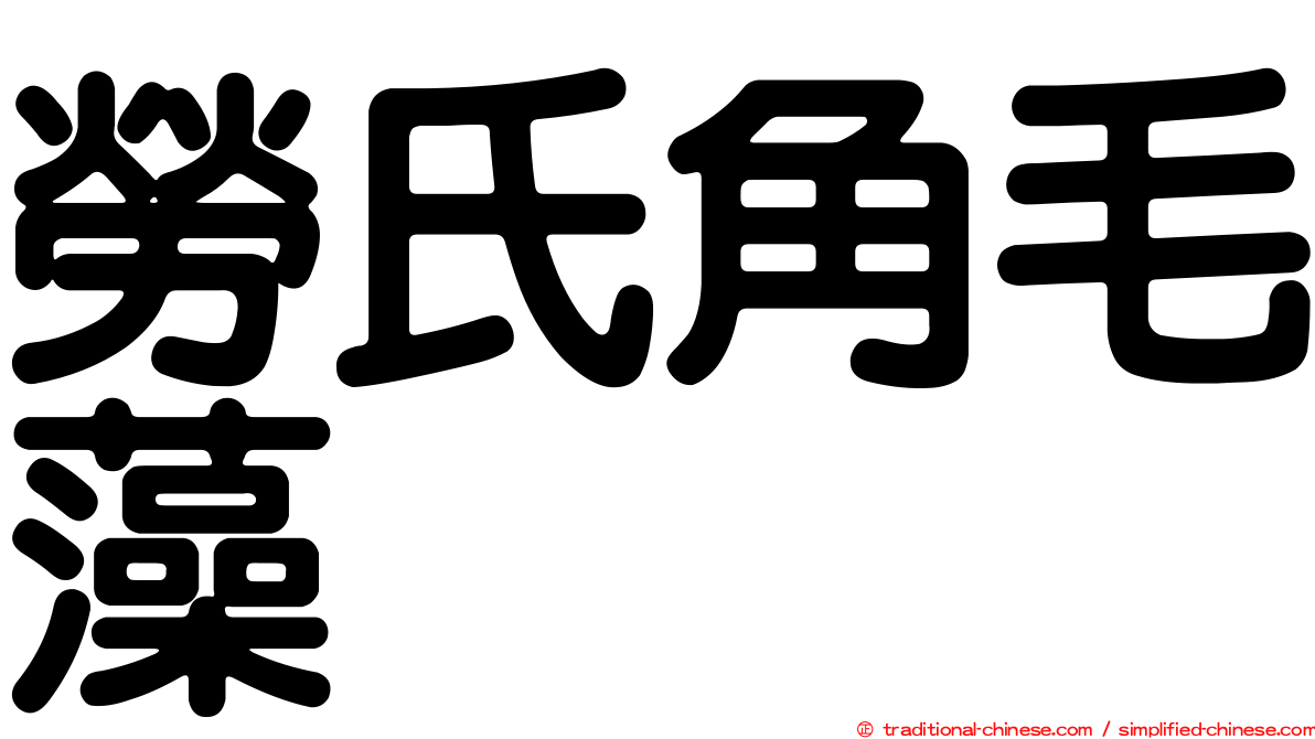 勞氏角毛藻