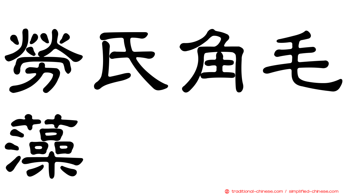 勞氏角毛藻