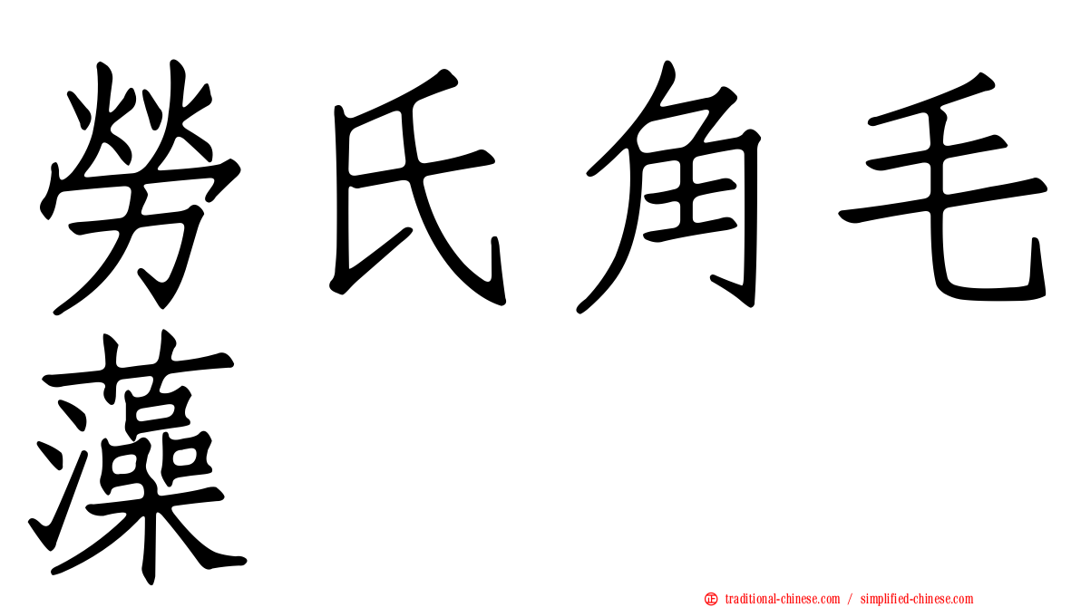 勞氏角毛藻