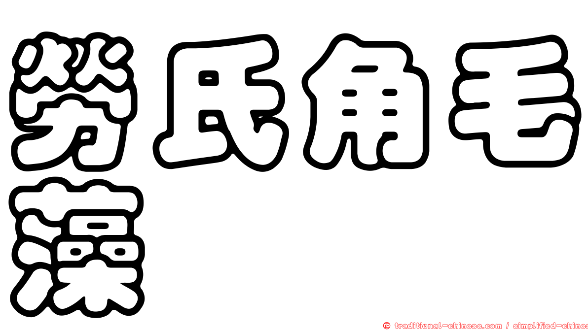勞氏角毛藻