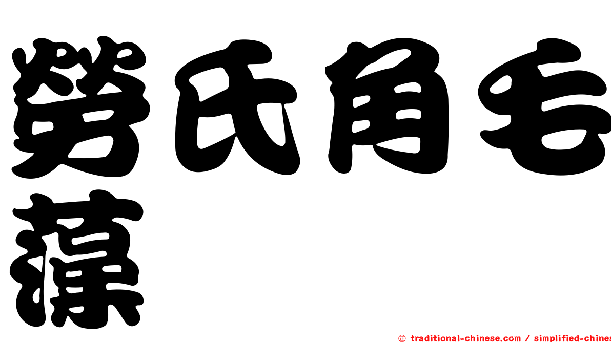 勞氏角毛藻
