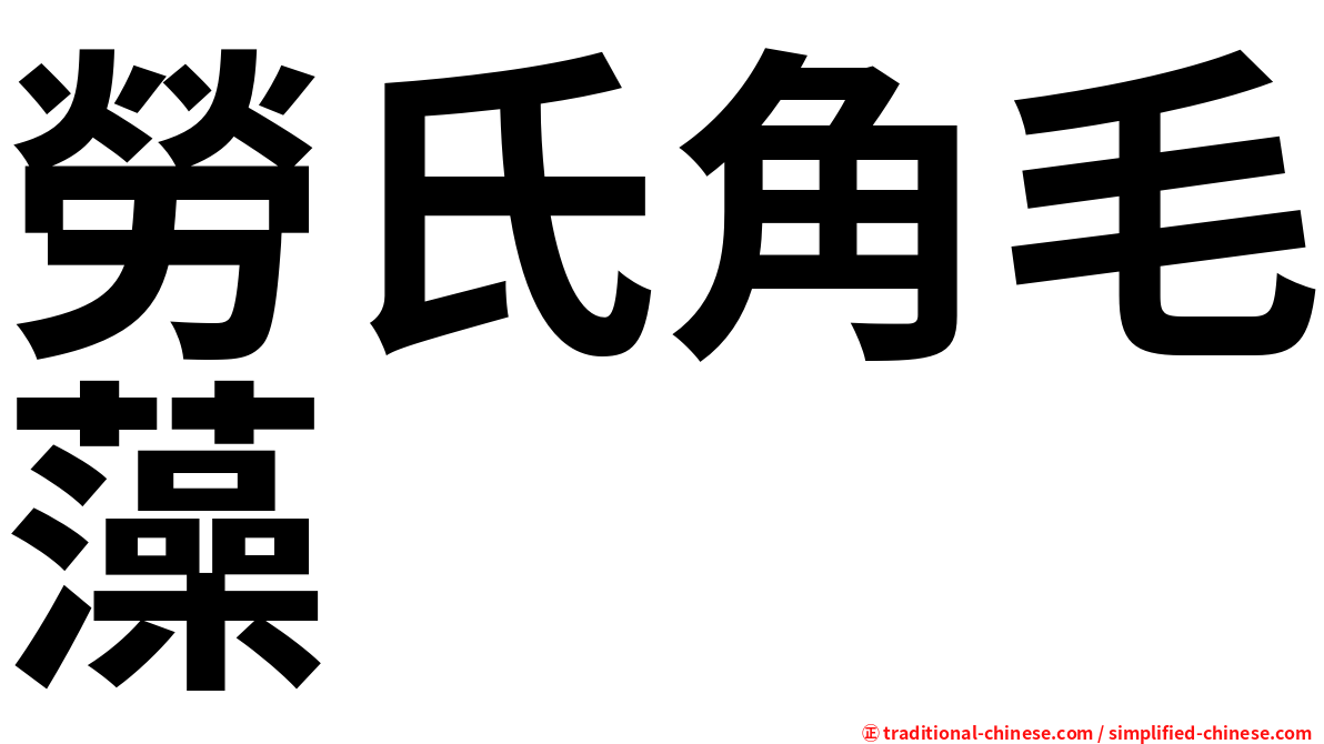 勞氏角毛藻