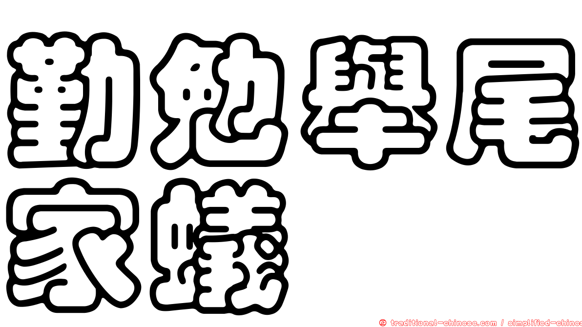 勤勉舉尾家蟻