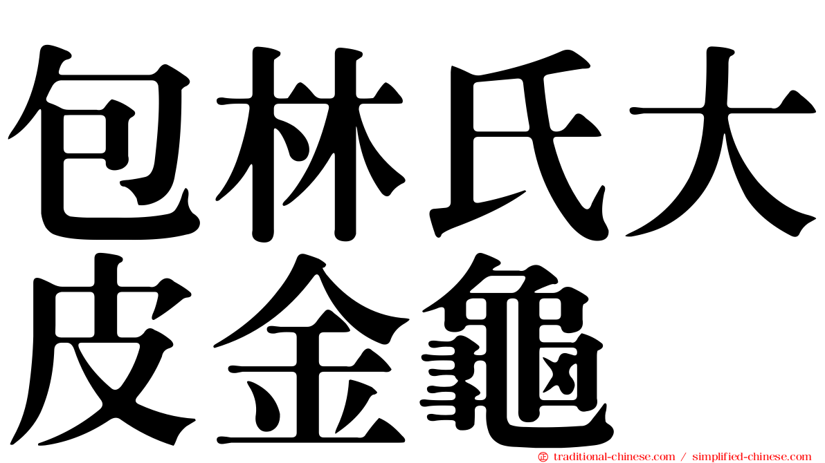 包林氏大皮金龜