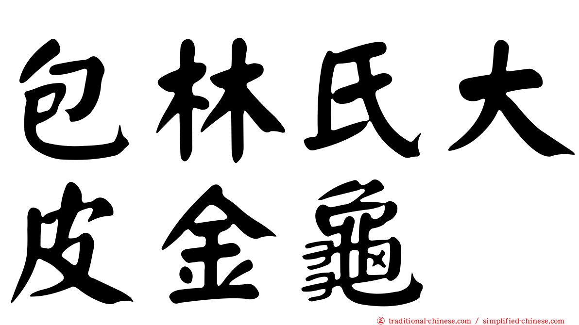 包林氏大皮金龜