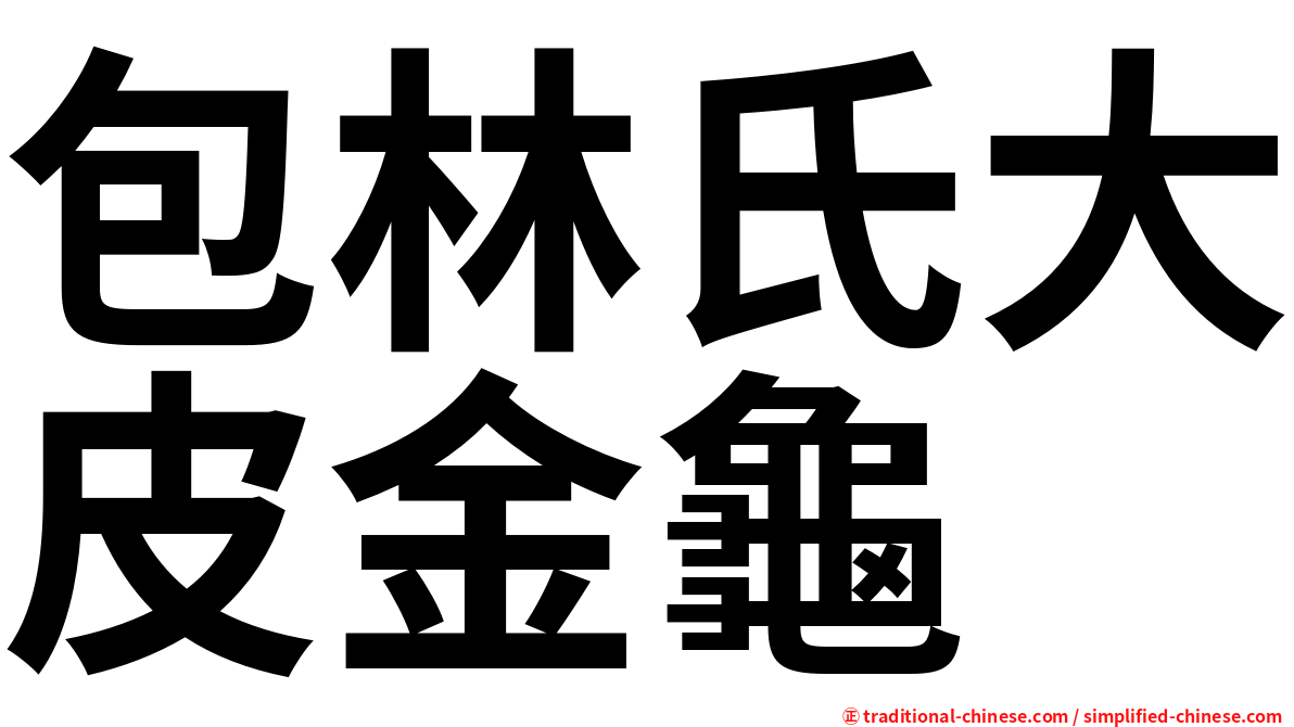 包林氏大皮金龜