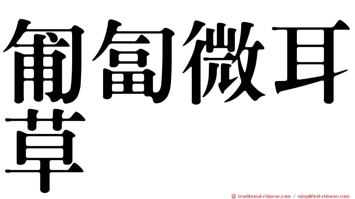 匍匐微耳草