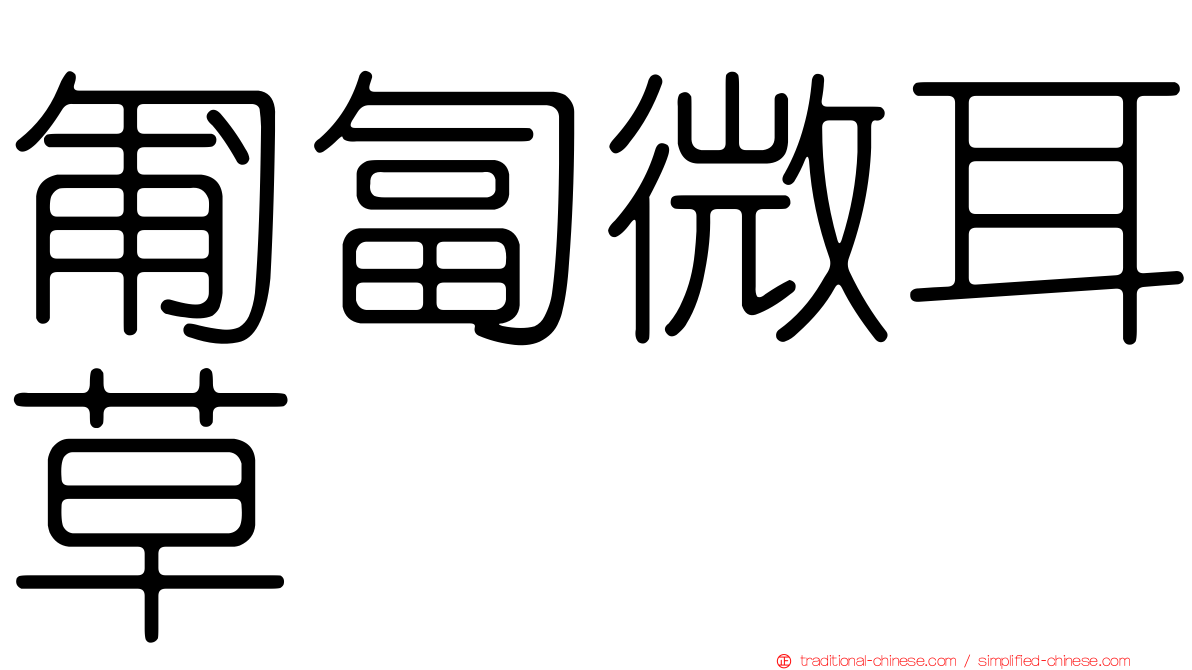 匍匐微耳草