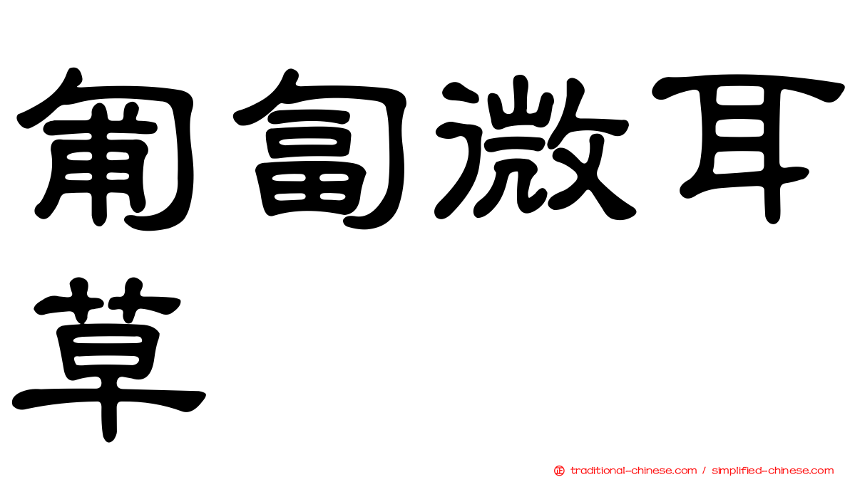 匍匐微耳草