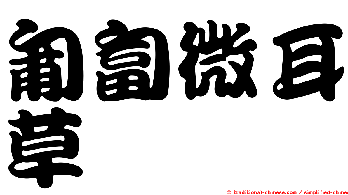 匍匐微耳草