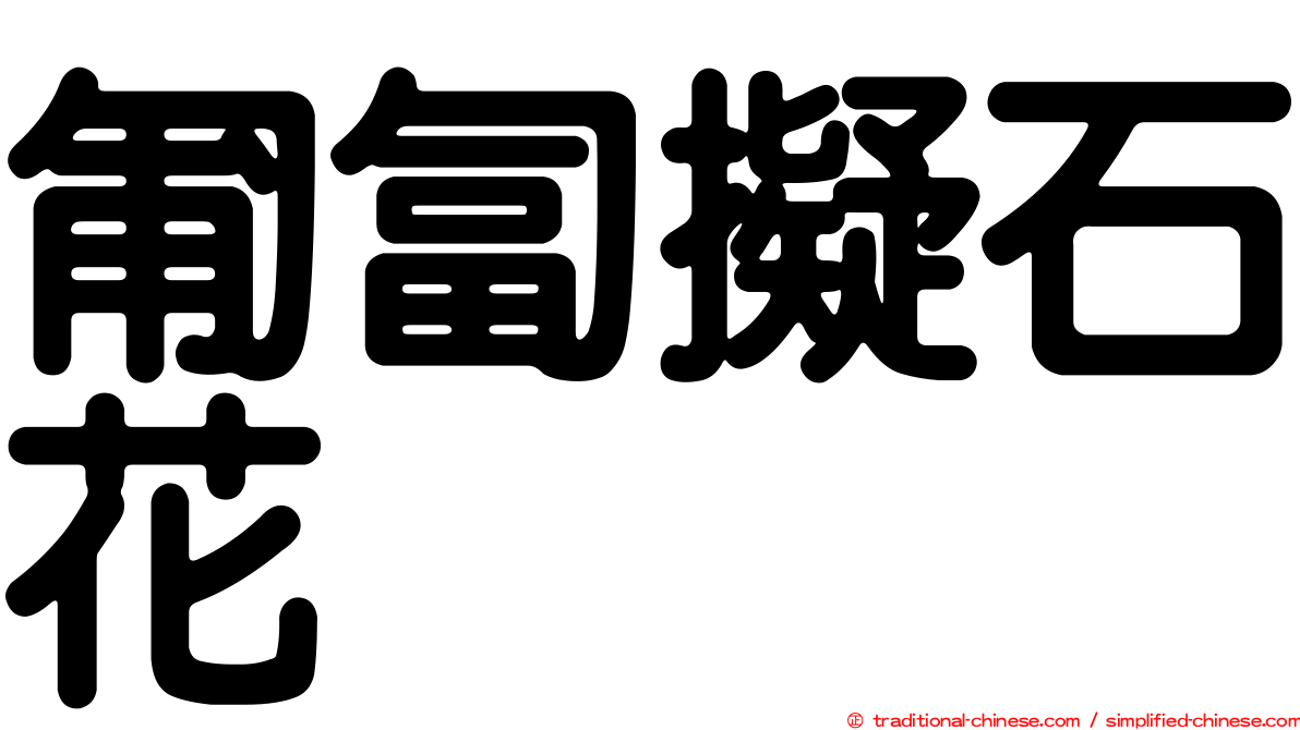 匍匐擬石花