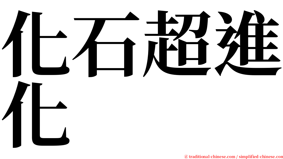 化石超進化 serif font