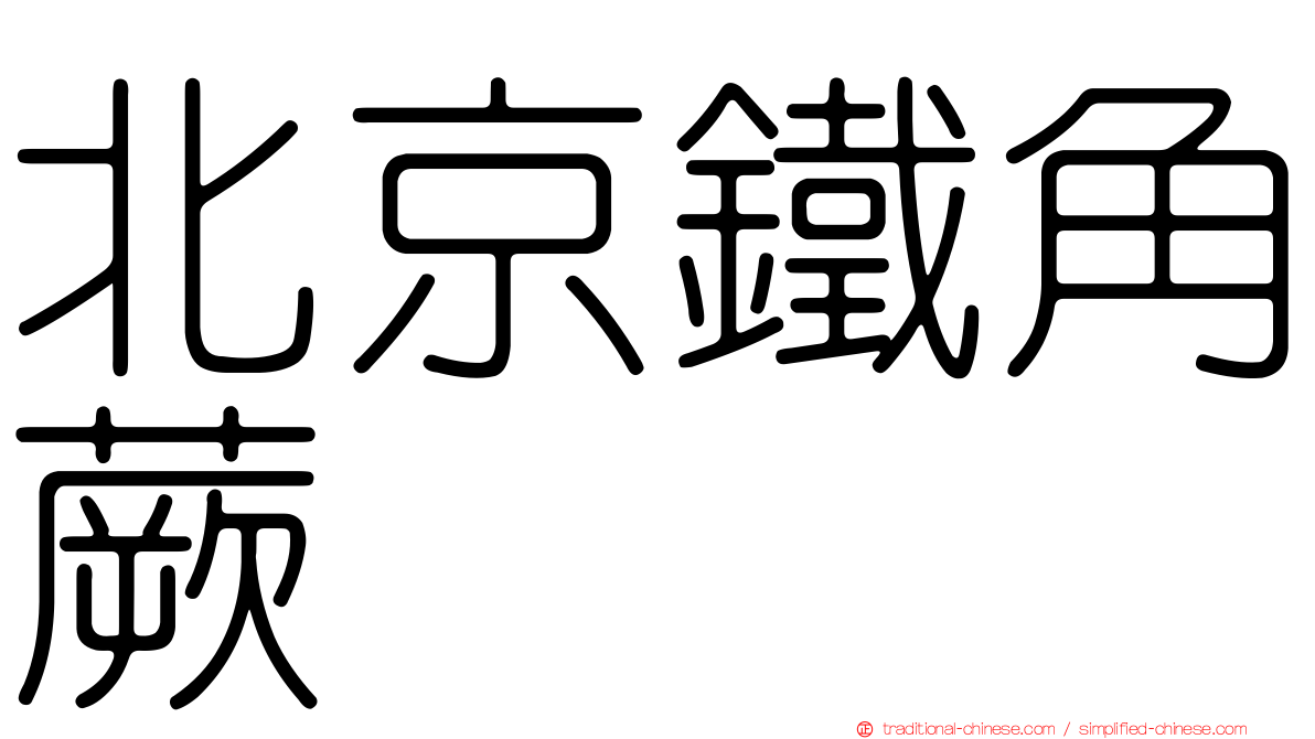 北京鐵角蕨