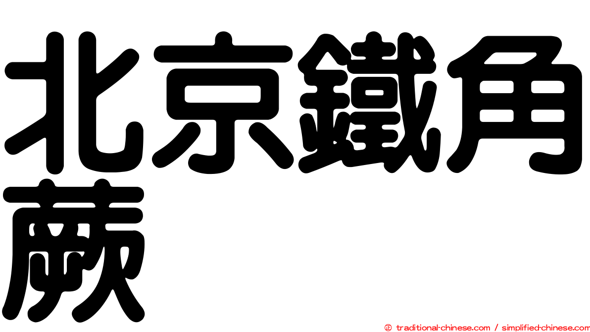北京鐵角蕨
