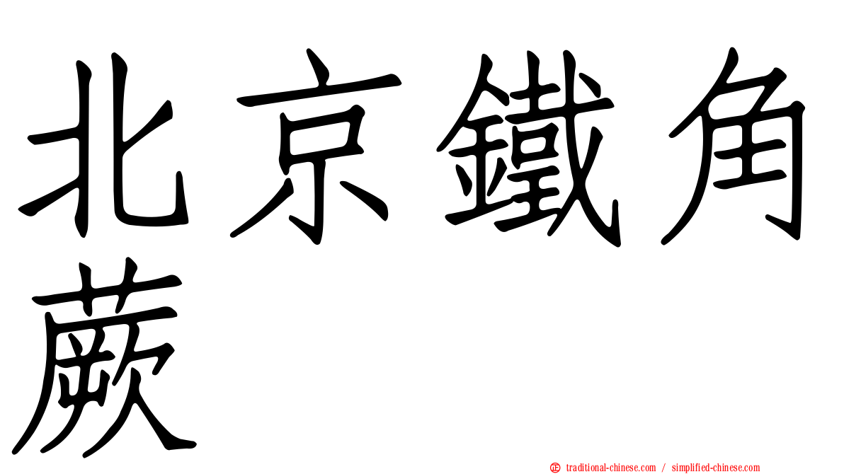 北京鐵角蕨