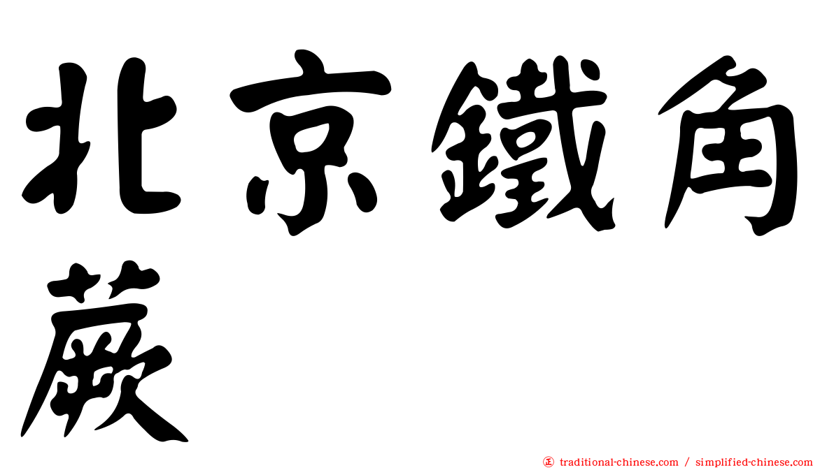 北京鐵角蕨