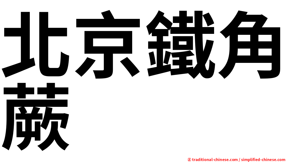 北京鐵角蕨