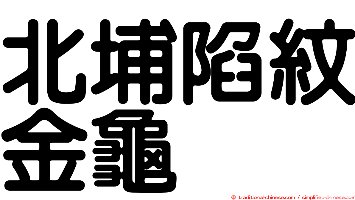 北埔陷紋金龜