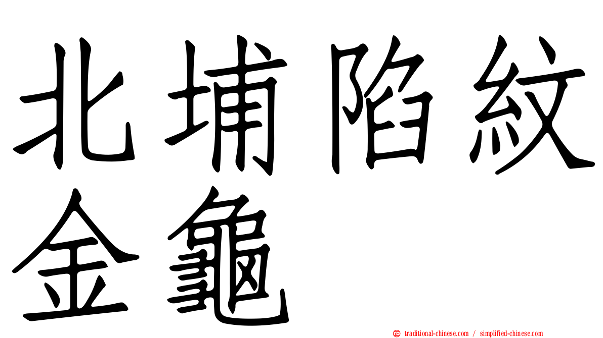 北埔陷紋金龜