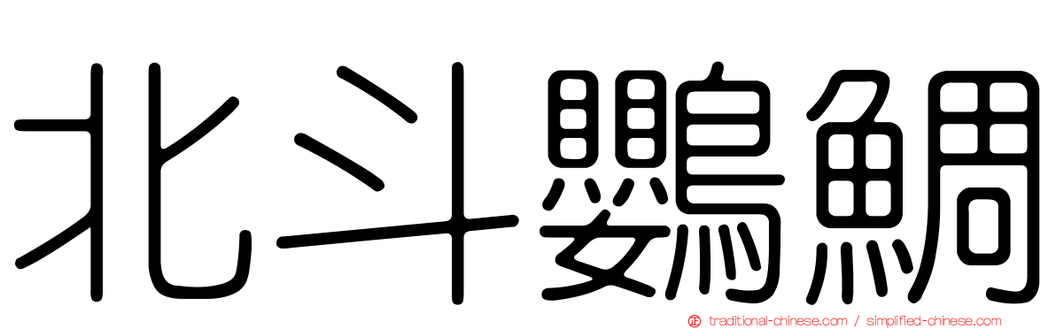 北斗鸚鯛