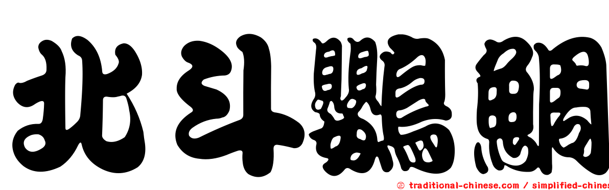北斗鸚鯛