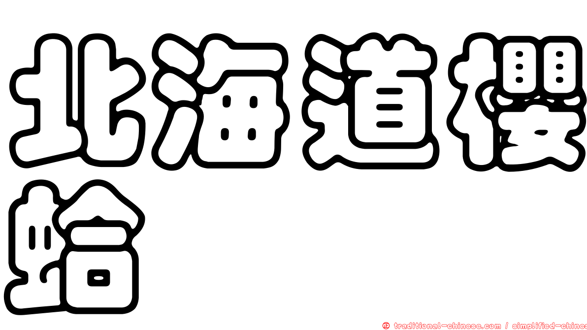 北海道櫻蛤