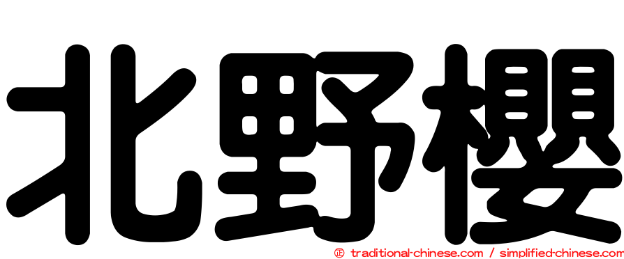 北野櫻