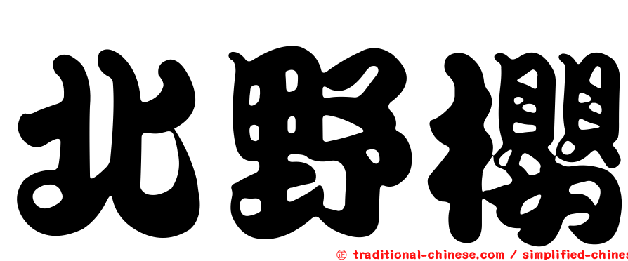 北野櫻