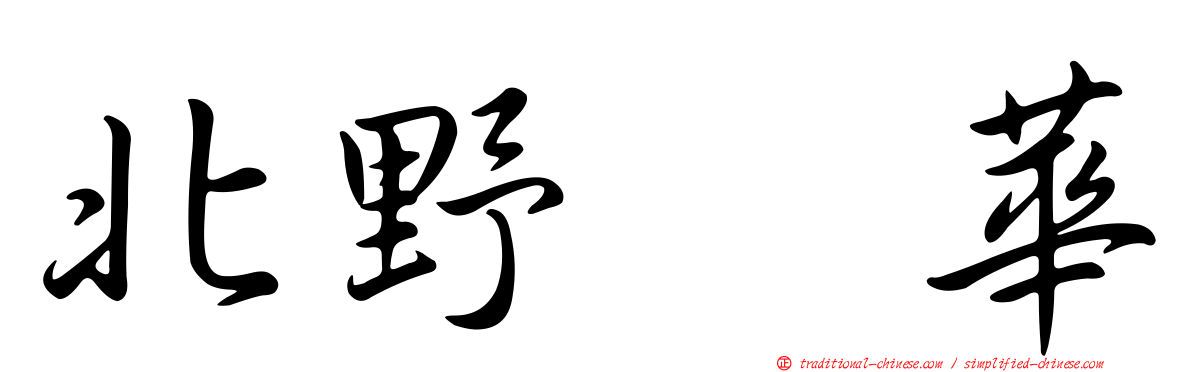 北野瑠華