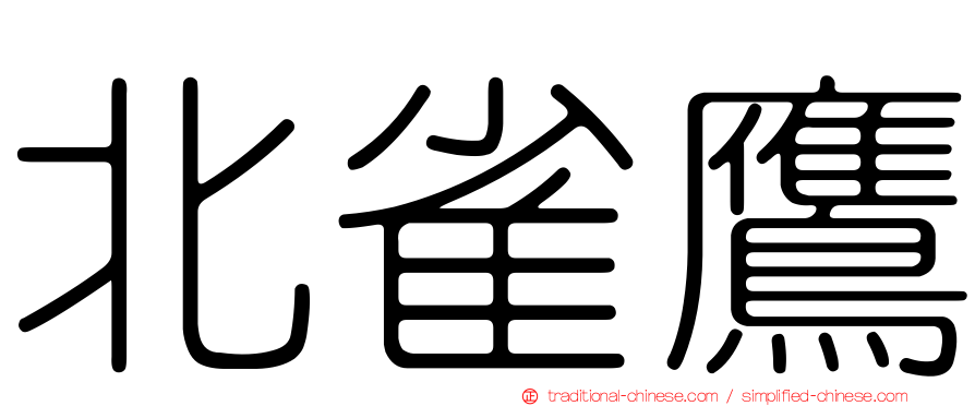 北雀鷹