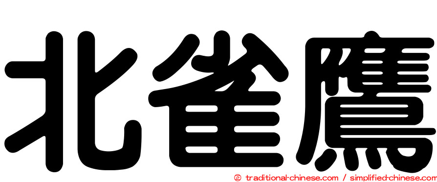 北雀鷹